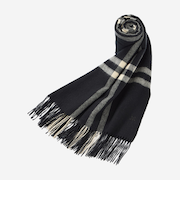 【Precious12月号】Wウィンドペンカシミヤストール