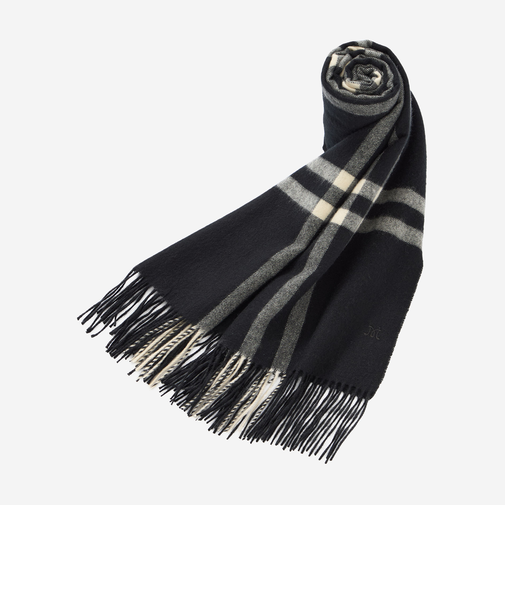 【Precious12月号】Wウィンドペンカシミヤストール