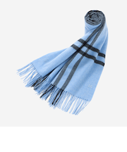 【Precious12月号】Wウィンドペンカシミヤストール