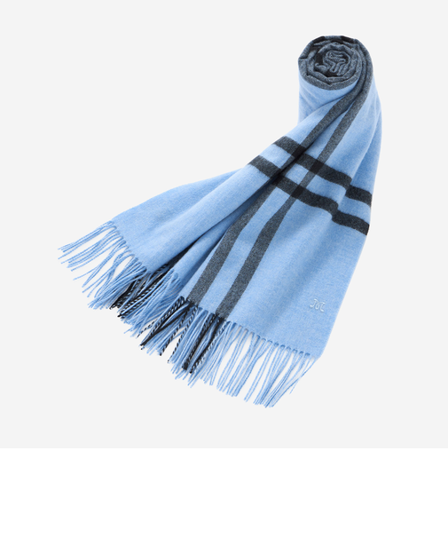 【Precious12月号】Wウィンドペンカシミヤストール