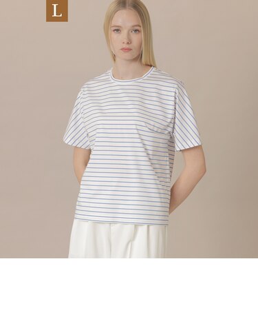 【L】【The Essential Collection】プレーティング天竺ボーダーTシャツ