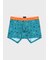 "Embroidered Beach Scene" ボクサーパンツ