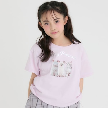 【接触冷感】ねこフォトドロスト半袖Tシャツ