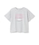 【デイリープライス】【綿100%】カレッジプリント半袖Tシャツ