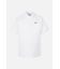 MNS SP KNITTED NECK COLLAR SS