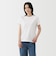 婦人　天竺編みクルーネック半袖Ｔシャツ