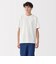 紳士　天竺編みクルーネック半袖Ｔシャツ