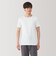 紳士　さらっと綿　クルーネック半袖Ｔシャツ