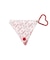 CHERRIES PRINT PVC TRIANGULAR CASE
