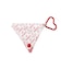 CHERRIES PRINT PVC TRIANGULAR CASE