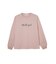 ICING LOGO BASIC L/S TEE