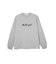 ICING LOGO BASIC L/S TEE