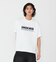 ヘビージャージー ダービーTシャツ 半袖