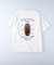 BACK NUMBER(バックナンバー)【メンズ】バック刺繍プリント半袖Tシャツ
