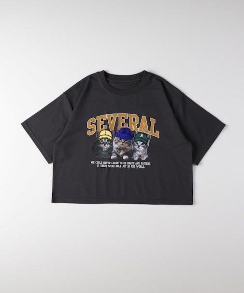 HONEYSUCKLE ROSE(ハニーサックルローズ)ネコプリントショートTシャツ