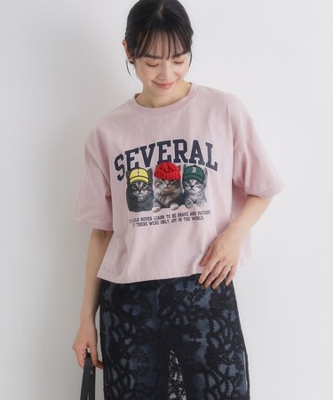 HONEYSUCKLE ROSE(ハニーサックルローズ)ネコプリントショートTシャツ