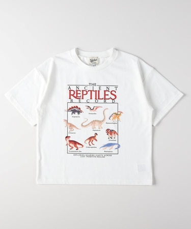 ダイナソーTシャツ