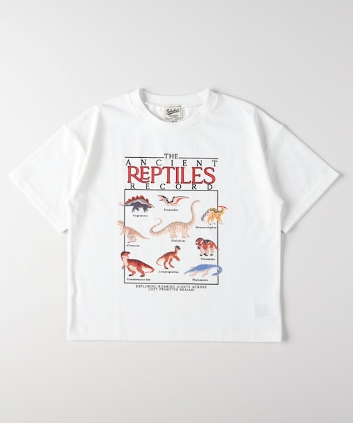 ダイナソーTシャツ