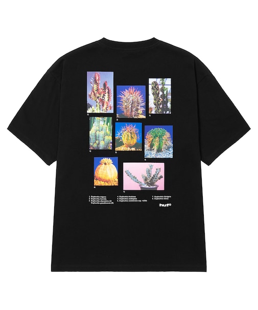 IEIC GRAPHIC S/S TEE
