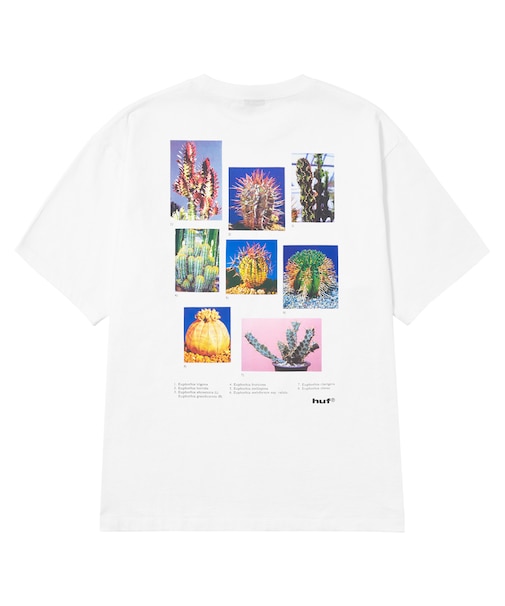IEIC GRAPHIC S/S TEE