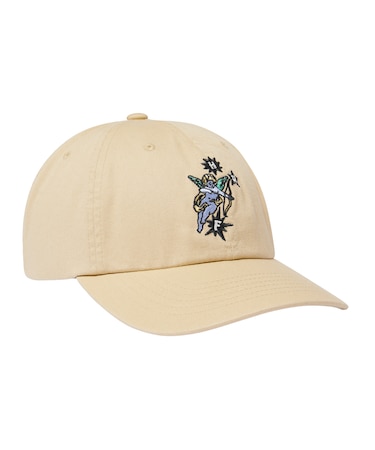 CUPID 6 PANEL CV HAT