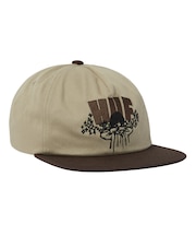 DAZED SNAPBACK