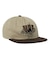 DAZED SNAPBACK