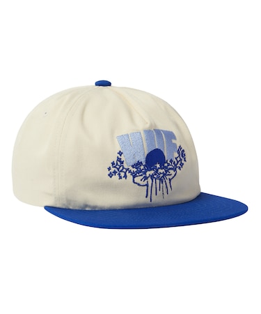 DAZED SNAPBACK