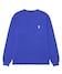 COURT BLUE