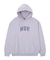 ARCH P/O HOODIE