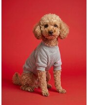 pup pup number one sweat ／ パップパップナンバーワンスウェット