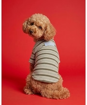 border relax wear ／ ボーダーリラックスウェア