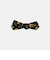 accessory E4