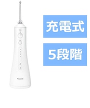 パナソニック 口腔洗浄器 ジェットウォッシャー ドルツ 超音波水流モデル AC100-240V (国内・海外兼用) EWDJ55W