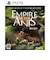 レイニーフロッグ　PS5ゲームソフト 蟻の帝国ーEmpire of the Ants ELJM-30573<br>★こちらの商品は人気商品のため、色違い・仕様違い等含め「一家族１台限り」でのご協力をお願いしております。
