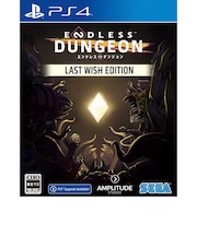 セガ PS4ゲームソフト ENDLESS Dungeon PLJM-17208