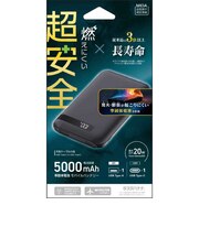 ラスタバナナ　5000mAh 準固体モバイルバッテリー A×1 C×1 PD20W出力 [ USB Power Delivery対応 / 2ポート ] チャコールグレー RLI050C20W03CGRY