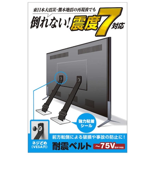 エレコム　TV用耐震ベルト/~75V用/ネジどめタイプ(VESA穴)/2本入 TS006N