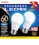 東芝　電球型LED ▼ LDA7DG60V1P