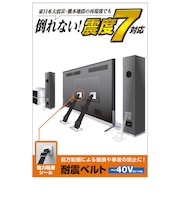 エレコム　耐震ベルト テレビ用 40インチ まで対応 強力粘着 シールタイプ 2本入 固定器具 長さ調整可能 地震対策 転倒防止 防災用品 取り付け簡単 TS001N2