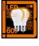 E17/L/60W