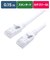 ビックアイデア　LANケーブル Cat6A スタンダード 0.15m ［0.15m / カテゴリー6A / スタンダード］ ホワイトBIMLC6A1STD015W