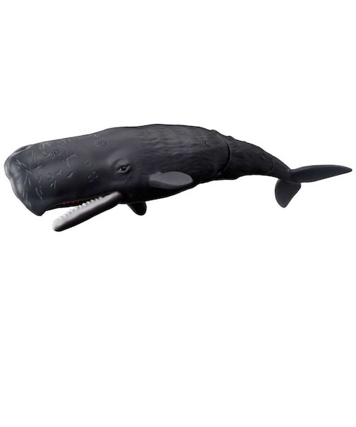 タカラトミー　アニア AL-34 マッコウクジラ(水に浮くVer.)ｱﾆｱAL34ﾏｯｺｳｸｼﾞﾗ