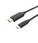 ナカバヤシ　USB-C→HDMI 変換ケーブル 2mUSDFH20BK