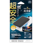 ラスタバナナ　5000mAh 準固体薄型マグネット付ワイヤレス モバイルバッテリー WC15W PD20W [ USB Power Delivery対応 / 1ポート ] ブラックRLI050WCC20W01BK