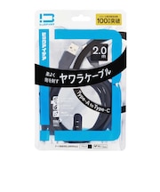 ビックアイデア USB Type-A to Type-C シリコーンケーブル 2.0m ブラック BITUC60S1AC200K
