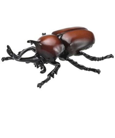 タカラトミー　アニア AS-37 カブトムシ AS37ｶﾌﾞﾄﾑｼ