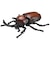 タカラトミー　アニア AS-37 カブトムシ AS37ｶﾌﾞﾄﾑｼ