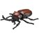 タカラトミー　アニア AS-37 カブトムシ AS37ｶﾌﾞﾄﾑｼ