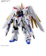 HG 1/144 マイティーストライクフリーダムガンダム(機動戦士ガンダムSEED FREEDOM) ［HG/HGUC /機動戦士ガンダムSEED］ HGNEWB★こちらの商品は人気商品のため、色違い・仕様違い等含め「一家族１台限り」でのご協力をお願いしております。